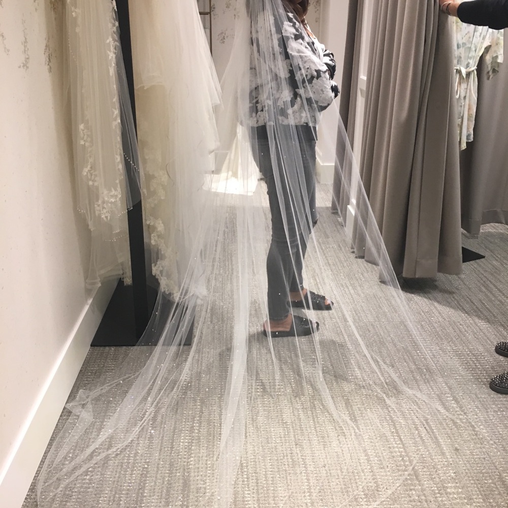 Toni Federici Veil
